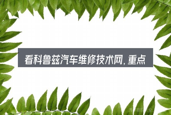 看科鲁兹汽车维修技术网,重点看这几项