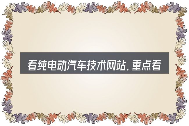 看纯电动汽车技术网站,重点看这几项