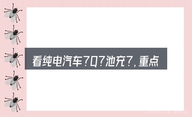 看纯电汽车?Q?池充?,重点看这几项