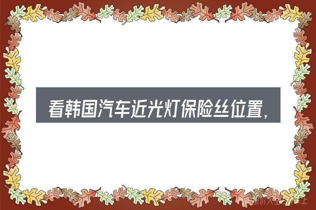 看韩国汽车近光灯保险丝位置,重点看这几项