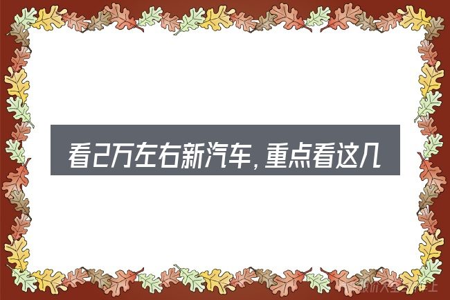 看2万左右新汽车,重点看这几项