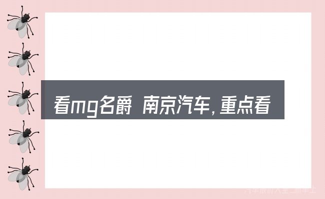 看mg名爵 南京汽车,重点看这几项