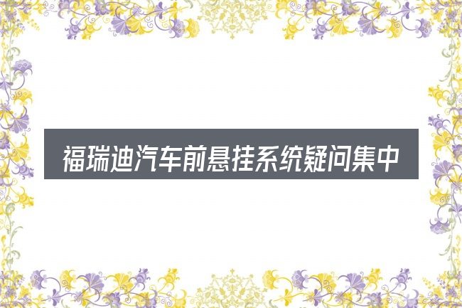 福瑞迪汽车前悬挂系统疑问集中回答