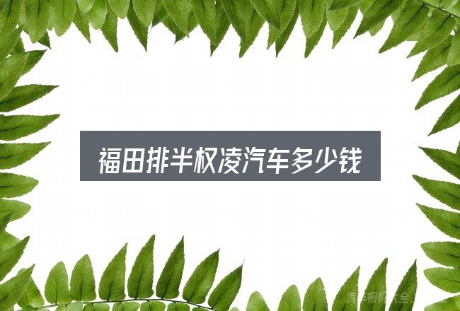 福田排半权凌汽车多少钱，基础认知与操作要点