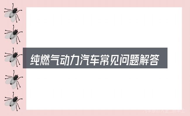 纯燃气动力汽车常见问题解答