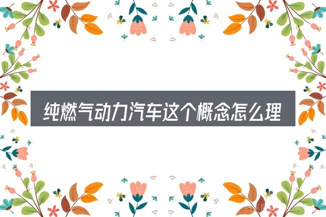 纯燃气动力汽车这个概念怎么理解
