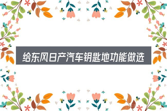 给东风日产汽车钥匙地功能做选择时的几条原则
