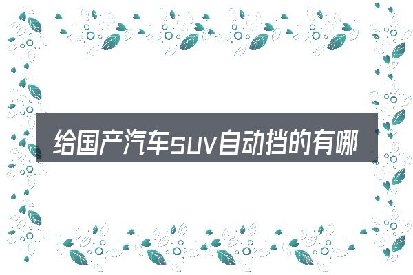 给国产汽车suv自动挡的有哪些牌子做选择时的几条原则