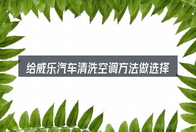 给威乐汽车清洗空调方法做选择时的几条原则