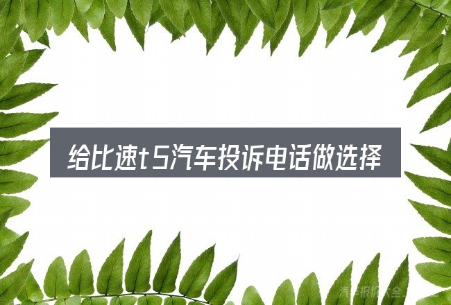 给比速t5汽车投诉电话做选择时的几条原则