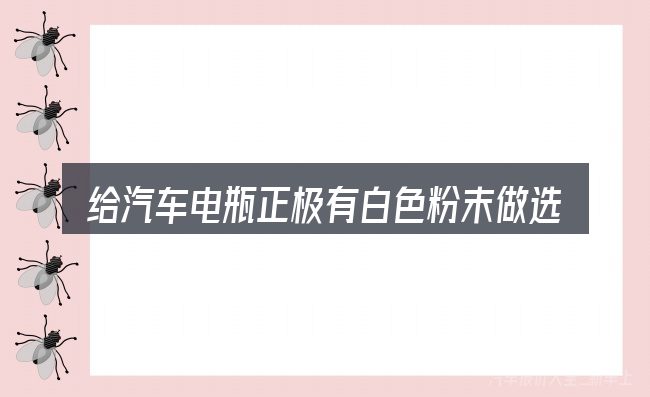 给汽车电瓶正极有白色粉末做选择时的几条原则