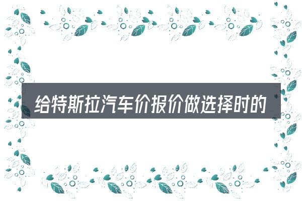 给特斯拉汽车价报价做选择时的几条原则