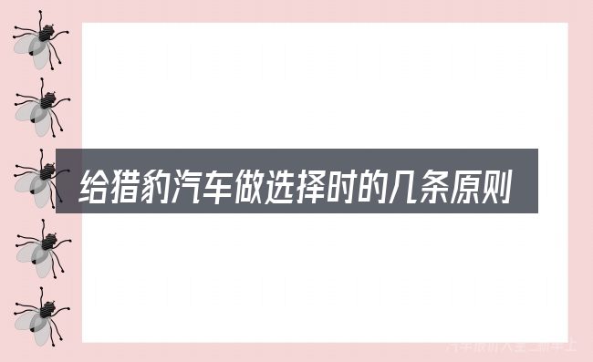 给猎豹汽车做选择时的几条原则