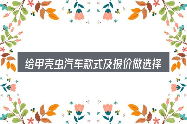 给甲壳虫汽车款式及报价做选择时的几条原则