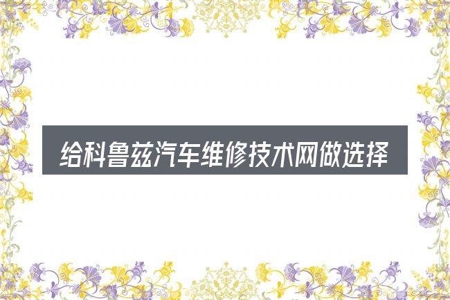 给科鲁兹汽车维修技术网做选择时的几条原则