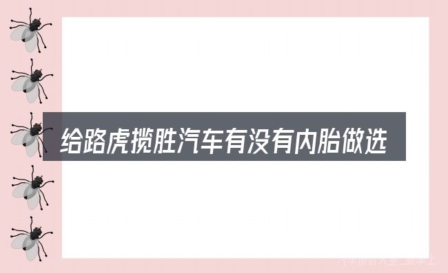 给路虎揽胜汽车有没有内胎做选择时的几条原则