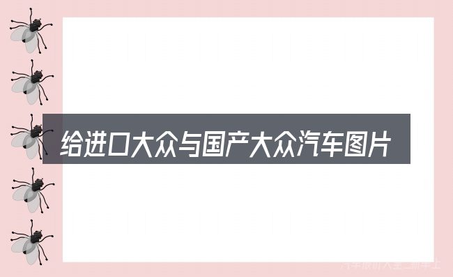 给进口大众与国产大众汽车图片大全做选择时的几条原则