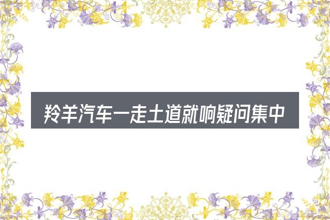羚羊汽车一走土道就响疑问集中回答