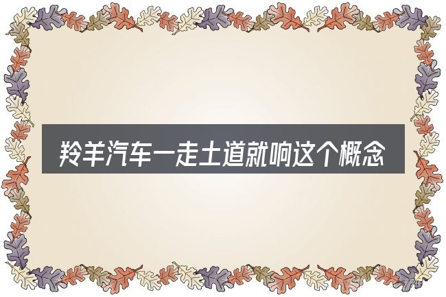 羚羊汽车一走土道就响这个概念怎么理解
