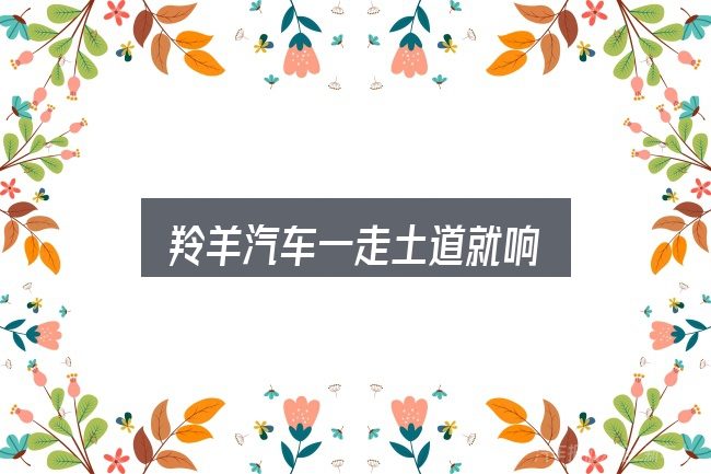 一文讲清羚羊汽车一走土道就响：价格、配置与保值率怎么权衡
