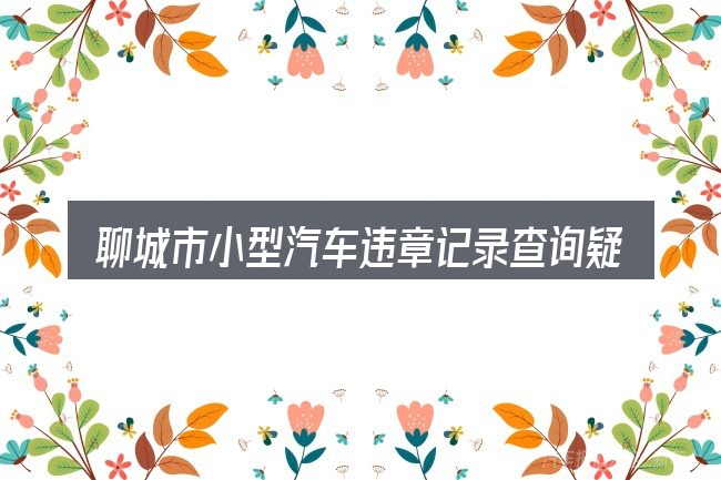 聊城市小型汽车违章记录查询疑问集中回答