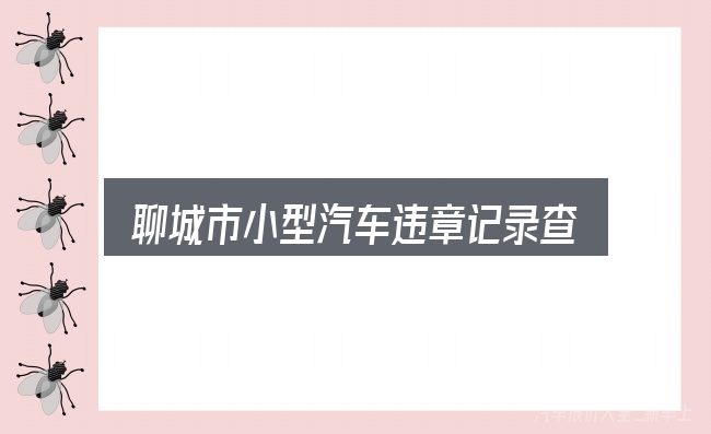 聊城市小型汽车违章记录查询全面解析：把标准对齐就好办了