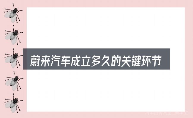 蔚来汽车成立多久的关键环节