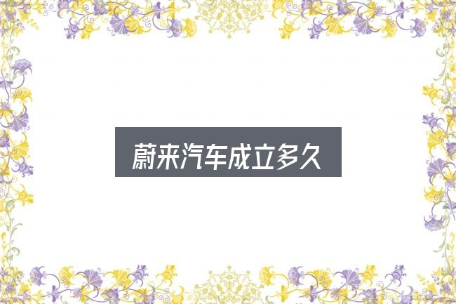 蔚来汽车成立多久？重点、难点与建议