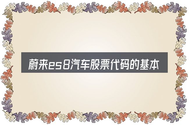 蔚来es8汽车股票代码的基本含义与边界