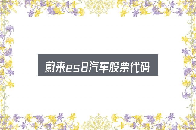 一文讲清蔚来es8汽车股票代码：概念、方法与实践