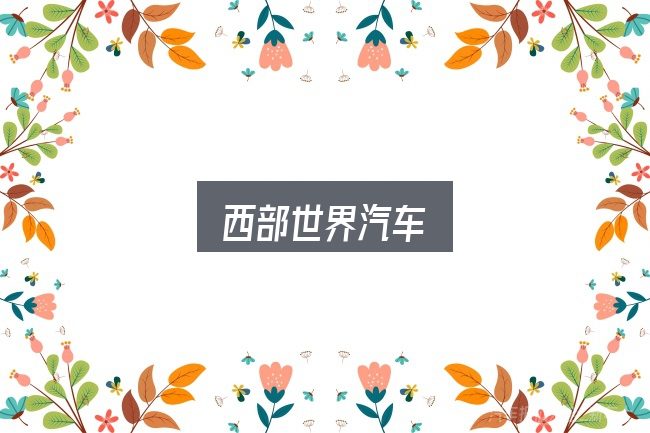 西部世界汽车全面解析：从选车到用车的实际经验