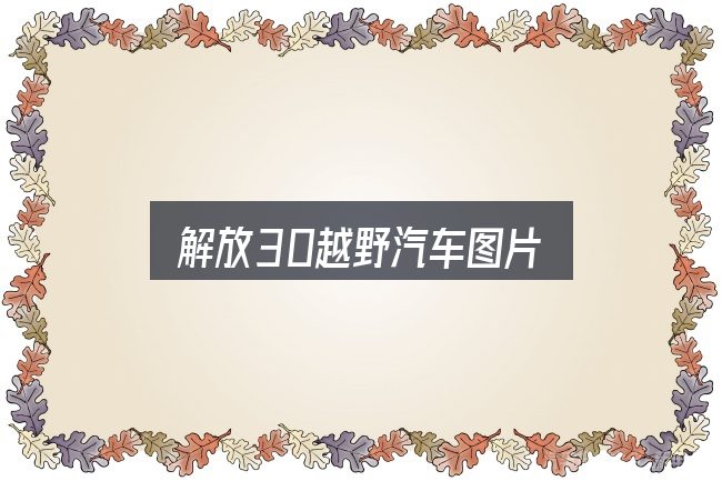 解放30越野汽车图片实用指南：一段清晰的判断框架