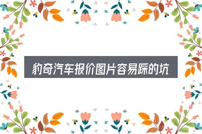 豹奇汽车报价图片容易踩的坑