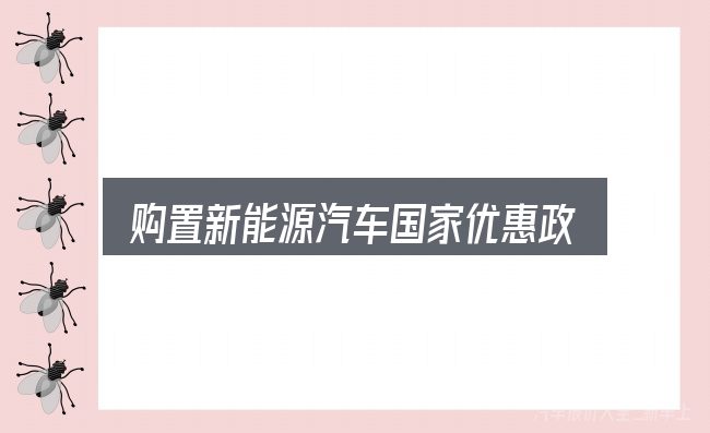 购置新能源汽车国家优惠政策入门笔记：常见误区与实用建议