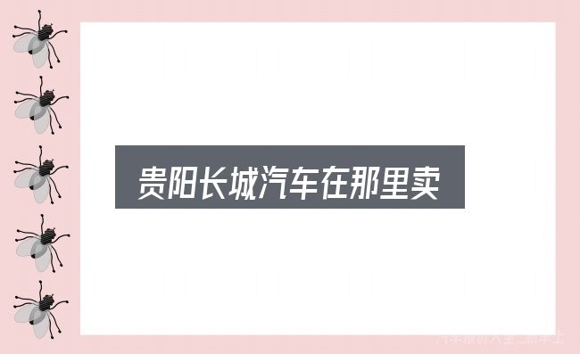 关于贵阳长城汽车在那里卖，看完能少走弯路