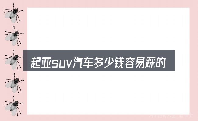 起亚suv汽车多少钱容易踩的坑