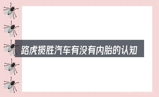 路虎揽胜汽车有没有内胎的认知误区
