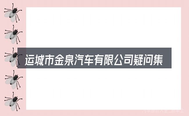 运城市金泉汽车有限公司疑问集中回答