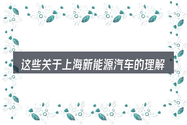 这些关于上海新能源汽车的理解可能有偏差