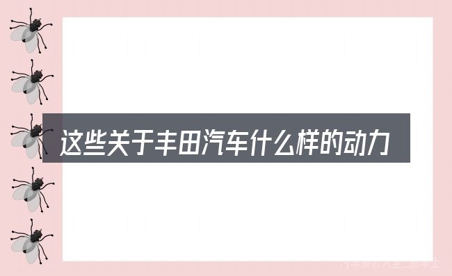 这些关于丰田汽车什么样的动力最好的理解可能有偏差