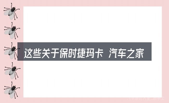 这些关于保时捷玛卡 汽车之家的理解可能有偏差