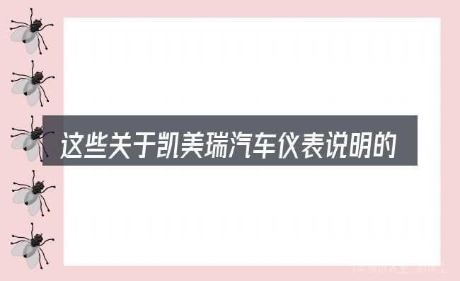 这些关于凯美瑞汽车仪表说明的理解可能有偏差