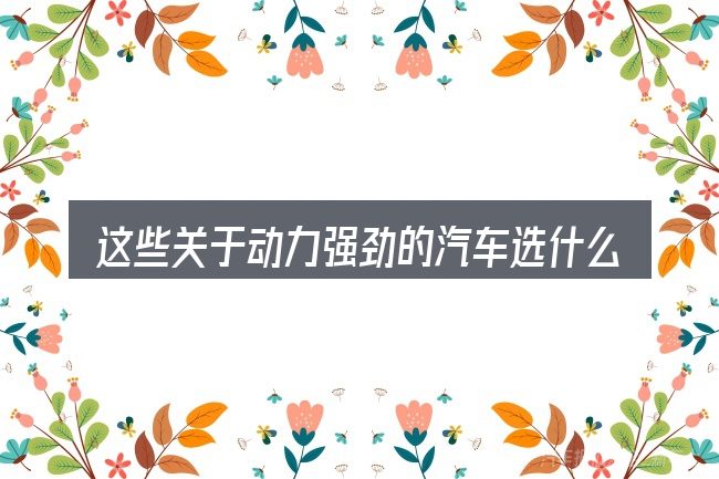 这些关于动力强劲的汽车选什么的理解可能有偏差
