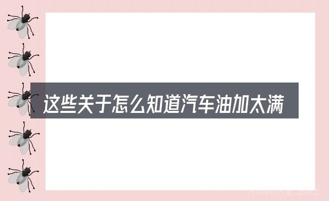 这些关于怎么知道汽车油加太满的理解可能有偏差