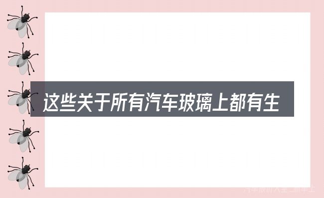 这些关于所有汽车玻璃上都有生产日期的理解可能有偏差