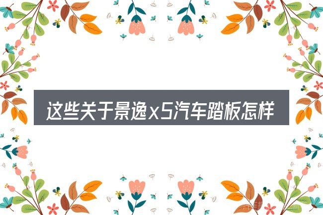 这些关于景逸x5汽车踏板怎样按装的理解可能有偏差