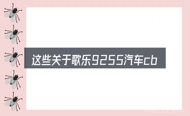 这些关于歌乐9255汽车cb的理解可能有偏差