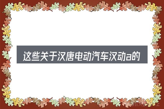这些关于汉唐电动汽车汉动a的理解可能有偏差