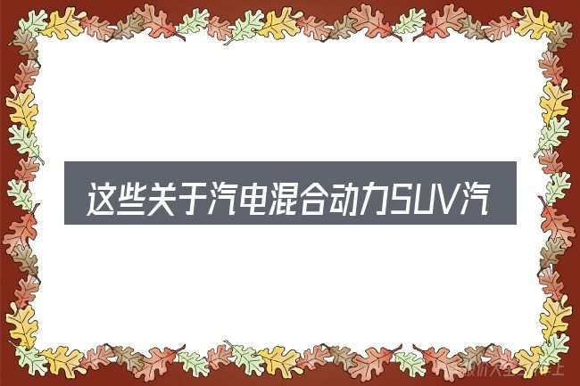 这些关于汽电混合动力SUV汽车的理解可能有偏差