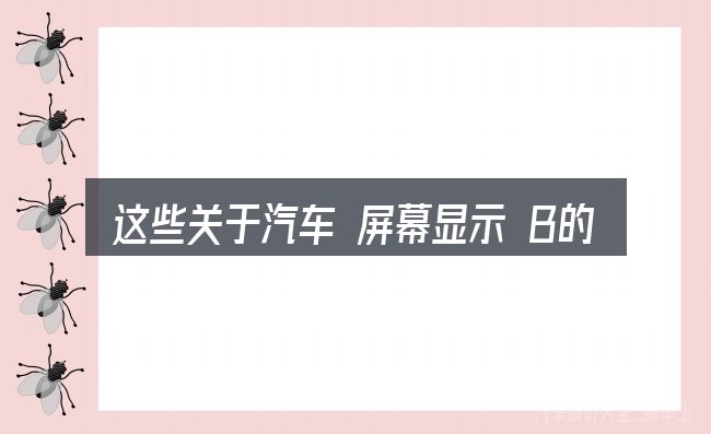这些关于汽车 屏幕显示 B的理解可能有偏差